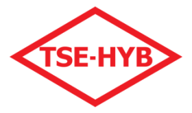 Tse Belgeli Ekspertiz Mersin